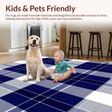 Ultra Soft Area Rug, Non Slip, Stain Resistant, Washable Area Rugs for Living Room, Bedroom, Charming Plaid Neutral Area(Blue)
