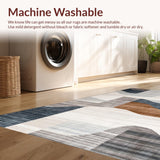 Ultra Soft Area Rug, Non Slip, Stain Resistant, Washable Area Rugs for Living Room, Bedroom, Rustic Neutral Geometric Motif(Beige)