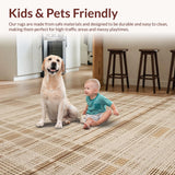 Ultra Soft Area Rug, Non Slip, Stain Resistant, Washable Area Rugs for Living Room, Bedroom, Artisanal Handwoven Rustic Charm(Beige)