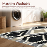 Ultra Soft Area Rug, Non Slip, Stain Resistant, Washable Area Rugs for Living Room, Bedroom, Elegant Neutral Geometric Look(Black)