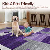 Ultra Soft Area Rug, Non Slip, Stain Resistant, Washable Area Rugs for Living Room, Bedroom, Sleek Ultra-Soft Sophisticated Touch(Purple)