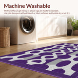 Ultra Soft Area Rug, Non Slip, Stain Resistant, Washable Area Rugs for Living Room, Bedroom, Trendy Minimalist Patterned Appeal(Purple)