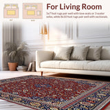 Ultra Soft Area Rug, Non Slip, Stain Resistant, Washable Area Rugs for Living Room, Bedroom, Luxurious Sherpa for(Red)