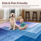 Ultra Soft Area Rug, Non Slip, Stain Resistant, Washable Area Rugs for Living Room, Bedroom, Elegant Soft Ombre Gradient(Blue)