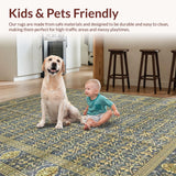 Ultra Soft Area Rug, Non Slip, Stain Resistant, Washable Area Rugs for Living Room, Bedroom, Luxurious Grey Abstract Design(Blue)