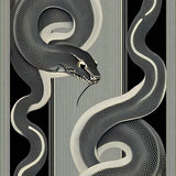 Elegant Black and Off White Aesthetic(Black)