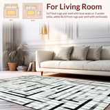 Ultra Soft Area Rug, Non Slip, Stain Resistant, Washable Area Rugs for Living Room, Bedroom, Elegant Monochrome Striped Indoor Low Pile Decorative Floor Covering(Gray)