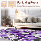 Ultra Soft Area Rug, Non Slip, Stain Resistant, Washable Area Rugs for Living Room, Bedroom, Trendy Minimalist Color Contrast(Purple)