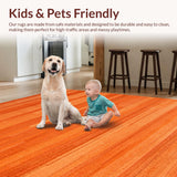 Ultra Soft Area Rug, Non Slip, Stain Resistant, Washable Area Rugs for Living Room, Bedroom, Chic Terracotta Textured Runner(Orange)