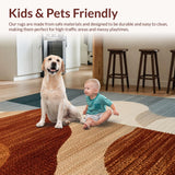 Ultra Soft Area Rug, Non Slip, Stain Resistant, Washable Area Rugs for Living Room, Bedroom, Modern Thin Non-Slip Bedroom Carpet for Cozy Home Office(Beige)