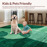 Ultra Soft Area Rug, Non Slip, Stain Resistant, Washable Area Rugs for Living Room, Bedroom, Plush Fuzzy Nursery Rug for Hygge Decor(Green)