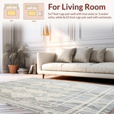Ultra Soft Area Rug, Non Slip, Stain Resistant, Washable Area Rugs for Living Room, Bedroom, Platinum Ivory Graphic Area Rug for High Traffic Areas(Gray)