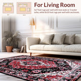 Luxurious Black Abstract Design(Red)