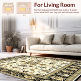 Ultra Soft Area Rug, Non Slip, Stain Resistant, Washable Area Rugs for Living Room, Bedroom, Beige Fuzzy Plush Area(Beige)