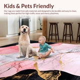 Ultra Soft Area Rug, Non Slip, Stain Resistant, Washable Area Rugs for Living Room, Bedroom, Contemporary Vibrant Color Palette(Pink)
