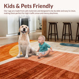 Ultra Soft Area Rug, Non Slip, Stain Resistant, Washable Area Rugs for Living Room, Bedroom, Terracotta Abstract Rainbow Motif(Brown)