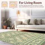 Ultra Soft Area Rug, Non Slip, Stain Resistant, Washable Area Rugs for Living Room, Bedroom, Ambel Natural Area(Beige)