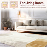 Ultra Soft Area Rug, Non Slip, Stain Resistant, Washable Area Rugs for Living Room, Bedroom, Distressed Beige Runner Modern Abstract Floor(Beige)
