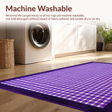 Ultra Soft Area Rug, Non Slip, Stain Resistant, Washable Area Rugs for Living Room, Bedroom, Dynamic Curvilinear Checkerboard Style(Purple)