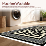 Ultra Soft Area Rug, Non Slip, Stain Resistant, Washable Area Rugs for Living Room, Bedroom, Modern Neutral Home Office Low Pile Rug(Black)