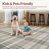 Ultra Soft Area Rug, Non Slip, Stain Resistant, Washable Area Rugs for Living Room, Bedroom, Rustic Textured Fringed Aesthetic(Gray)