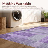 Ultra Soft Area Rug, Non Slip, Stain Resistant, Washable Area Rugs for Living Room, Bedroom, Luxurious Silver and Purple Palette(Purple)
