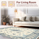 Ultra Soft Area Rug, Non Slip, Stain Resistant, Washable Area Rugs for Living Room, Bedroom, Seashell Summer Ocean in Beige and Blue Shades(Beige)