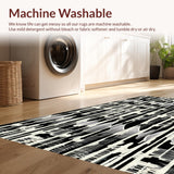 Ultra Soft Area Rug, Non Slip, Stain Resistant, Washable Area Rugs for Living Room, Bedroom, Zebra Stripe Woven Rug, Graphic Floor Art, Ebony and Ivory Accent Carpet(Black)