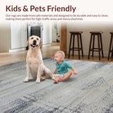 Ultra Soft Area Rug, Non Slip, Stain Resistant, Washable Area Rugs for Living Room, Bedroom, Abstract Slate Geometric Fusion(Gray)