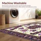 Ultra Soft Area Rug, Non Slip, Stain Resistant, Washable Area Rugs for Living Room, Bedroom, Ornate Floral Motif for Dining Space(Ivory)
