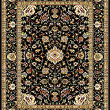 Ultra Soft Area Rug, Non Slip, Stain Resistant, Washable Area Rugs for Living Room, Bedroom, Elegant Earthy Botanical Motif(Black)
