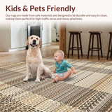 Ultra Soft Area Rug, Non Slip, Stain Resistant, Washable Area Rugs for Living Room, Bedroom, Rustic Multi-Colored Woven Texture(Beige)