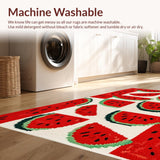Ultra Soft Area Rug, Non Slip, Stain Resistant, Washable Area Rugs for Living Room, Bedroom, Charming Outdoor Picnic Vibe(Red)