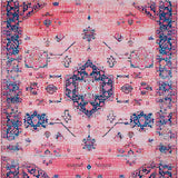 Ultra Soft Area Rug, Non Slip, Stain Resistant, Washable Area Rugs for Living Room, Bedroom, Soft Earth Tone Trellis Artwork(Pink)