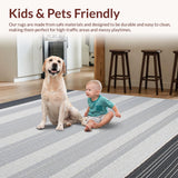 Ultra Soft Area Rug, Non Slip, Stain Resistant, Washable Area Rugs for Living Room, Bedroom, Sophisticated Diamond Motif Accent(Gray)