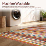 Ultra Soft Area Rug, Non Slip, Stain Resistant, Washable Area Rugs for Living Room, Bedroom, Lively Warm Toned Weave(Red)