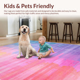 Ultra Soft Area Rug, Non Slip, Stain Resistant, Washable Area Rugs for Living Room, Bedroom, Whimsical Colorful Ombre Pattern(Pink)