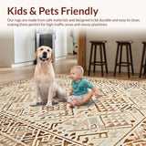 Ultra Soft Area Rug, Non Slip, Stain Resistant, Washable Area Rugs for Living Room, Bedroom, Elegant Textured Tribal Arrangement(Beige)