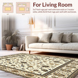 Ultra Soft Area Rug, Non Slip, Stain Resistant, Washable Area Rugs for Living Room, Bedroom, Tan Fluffy Area(Beige)