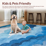 Ultra Soft Area Rug, Non Slip, Stain Resistant, Washable Area Rugs for Living Room, Bedroom, Contemporary Cool Hue Arrangement(Blue)