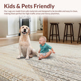 Ultra Soft Area Rug, Non Slip, Stain Resistant, Washable Area Rugs for Living Room, Bedroom, Neutral Tone Vintage Inspired Area With Distressed Geometric(Beige)