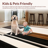 Ultra Soft Area Rug, Non Slip, Stain Resistant, Washable Area Rugs for Living Room, Bedroom, Modern Trio with Contrasting Border Lines in Earthy Neutrals(Black)