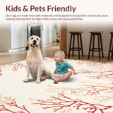 Ultra Soft Area Rug, Non Slip, Stain Resistant, Washable Area Rugs for Living Room, Bedroom, Premium Coral Velvet Floor Mat for Babies – Non Toxic Comfy Play Area(Beige)