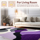 Ultra Soft Area Rug, Non Slip, Stain Resistant, Washable Area Rugs for Living Room, Bedroom, Abstract Purple Grey Swirl Motif(Purple)