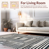 Ultra Soft Area Rug, Non Slip, Stain Resistant, Washable Area Rugs for Living Room, Bedroom, Rhythmic Monochrome Line Rug, Artistic Contrast Stripe Carpet, Distinctive(Gray)