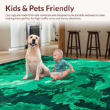 Ultra Soft Area Rug, Non Slip, Stain Resistant, Washable Area Rugs for Living Room, Bedroom, Artistic Shaggy Color Fusion(Green)