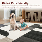 Ultra Soft Area Rug, Non Slip, Stain Resistant, Washable Area Rugs for Living Room, Bedroom, Artistic Kitchen Runner Modern Beige & Abstract Geometric Area(Gray)