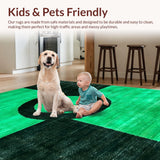 Ultra Soft Area Rug, Non Slip, Stain Resistant, Washable Area Rugs for Living Room, Bedroom, Stylish Green and White Twisted Design(Green)