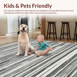 Ultra Soft Area Rug, Non Slip, Stain Resistant, Washable Area Rugs for Living Room, Bedroom, Bold Stripe Rug(Black)