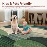 Ultra Soft Area Rug, Non Slip, Stain Resistant, Washable Area Rugs for Living Room, Bedroom, Elevated Entryway with Braided Design and Earthy Tones(Green)